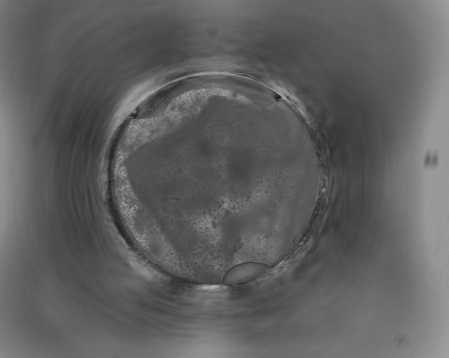 X0000090910053200708201751