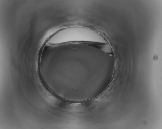 X0000090910054200708201751