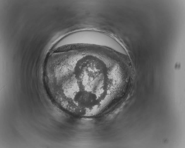 X0000090910055200708201751