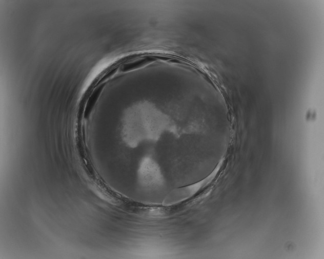 X0000090910056200708201751