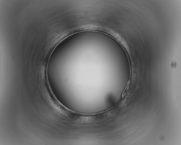 X0000090910057200708201751