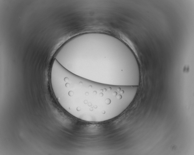 X0000090910059200708201751