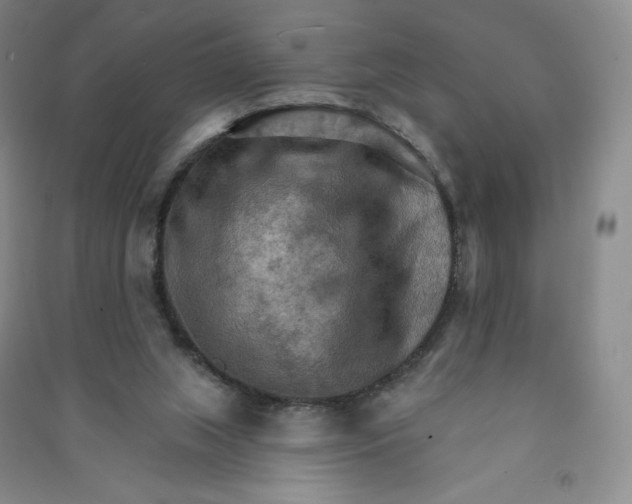 X0000090910063200708201752