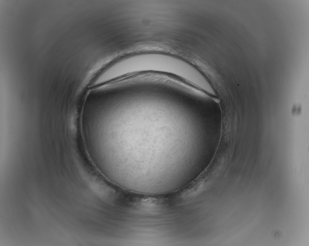 X0000090910064200708201752