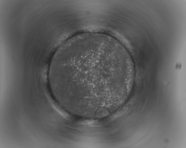 X0000090910065200708201752