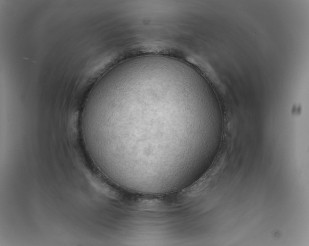 X0000090910066200708201752