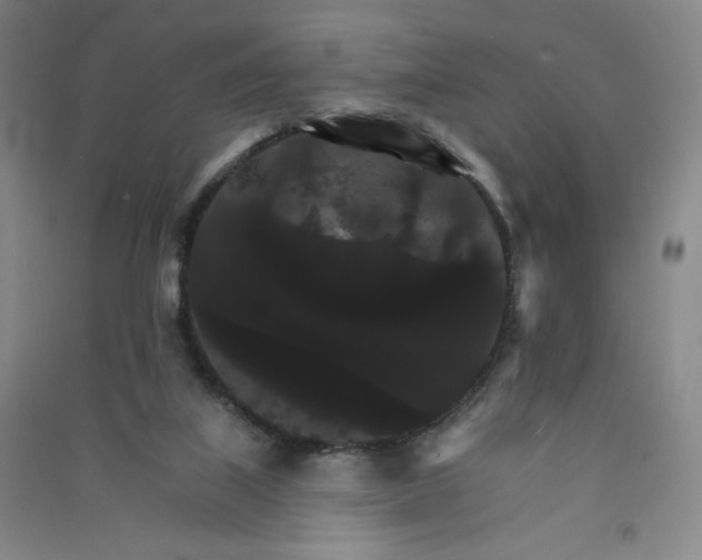 X0000090910067200708201752