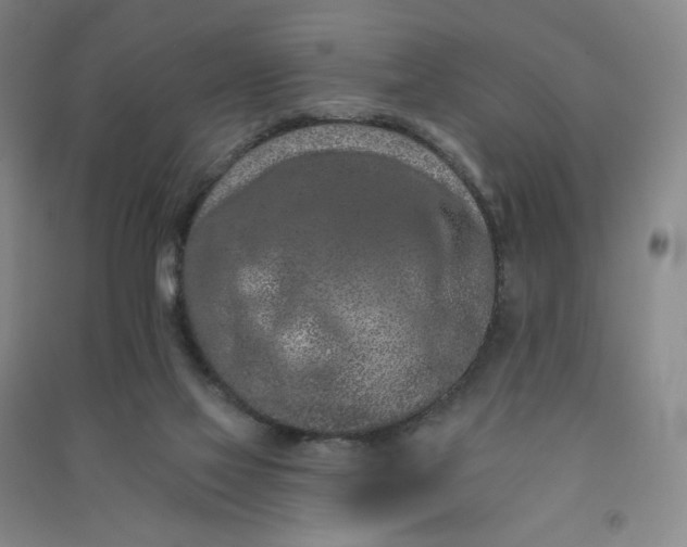 X0000090910069200708201752