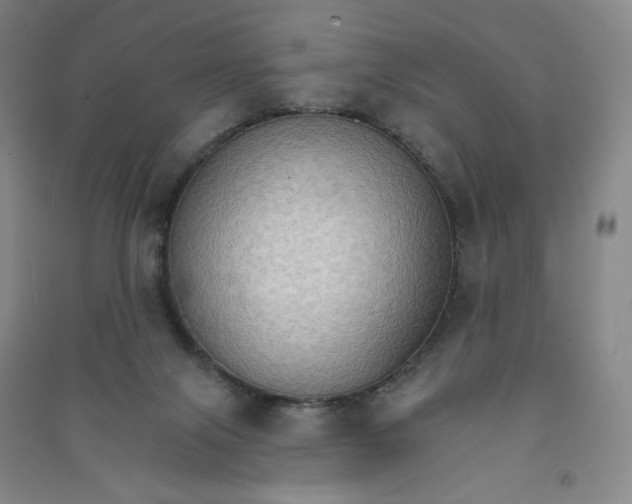 X0000090910071200708201752