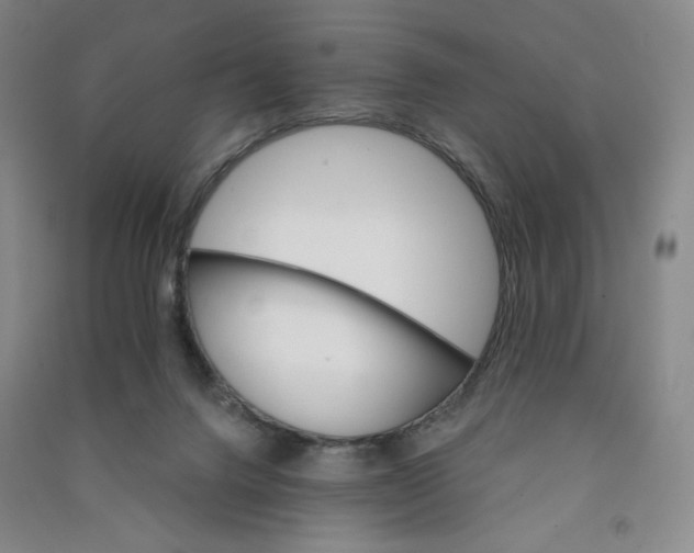 X0000090910072200708201752