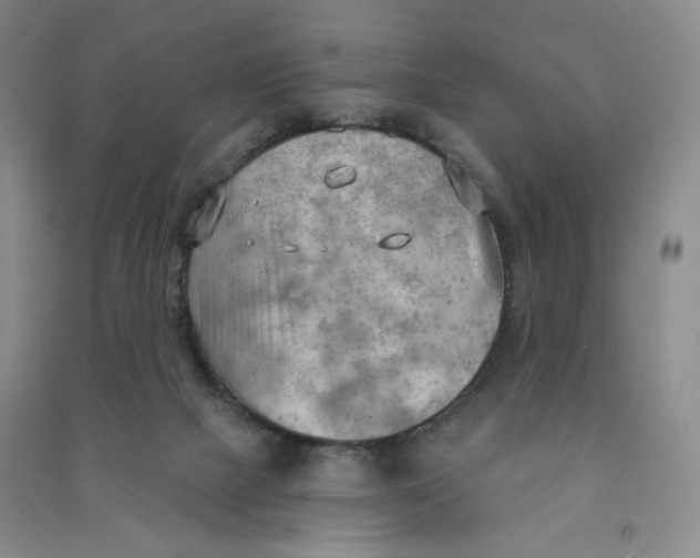 X0000090910073200708201752