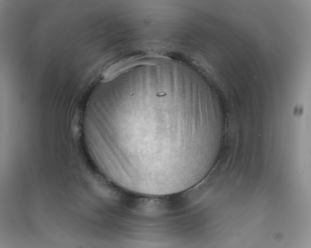 X0000090910074200708201752