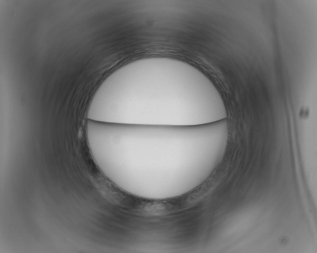 X0000090910075200708201752