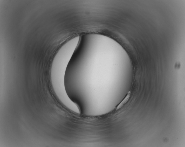 X0000090910076200708201752