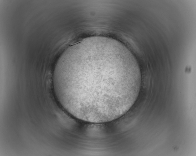 X0000090910077200708201752