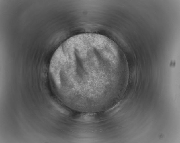 X0000090910078200708201752