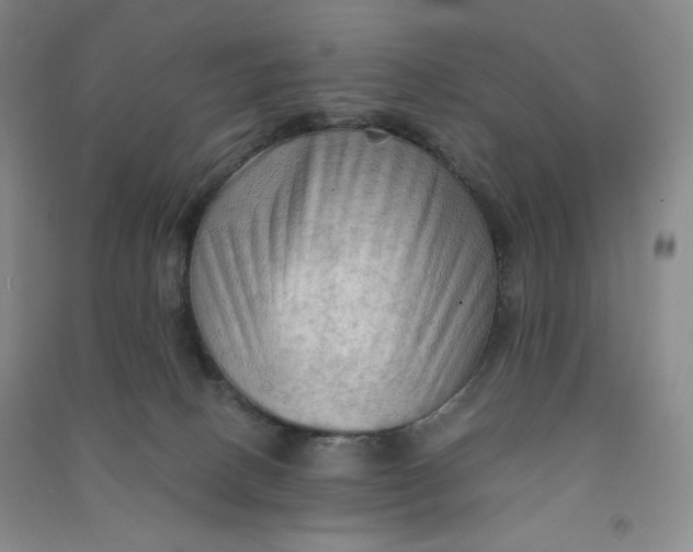 X0000090910082200708201752