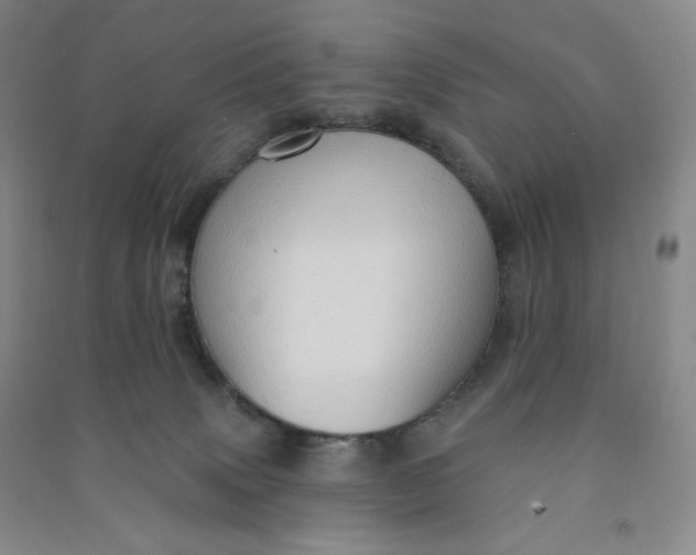 X0000090910083200708201752