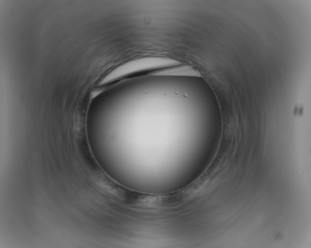 X0000090910084200708201752