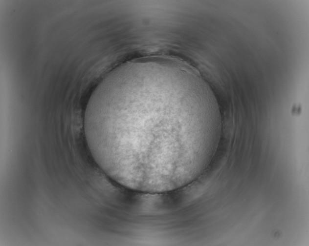 X0000090910085200708201752