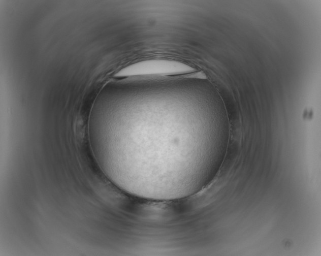 X0000090910086200708201752