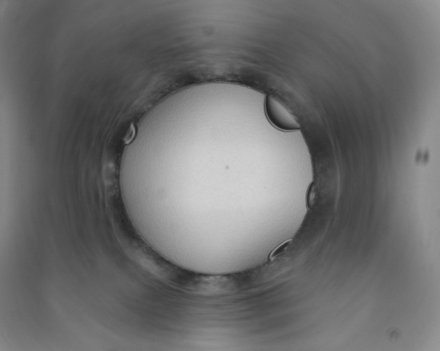 X0000090910087200708201752