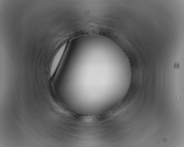 X0000090910088200708201752