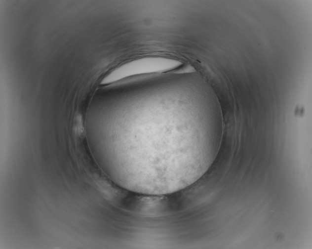 X0000090910089200708201752