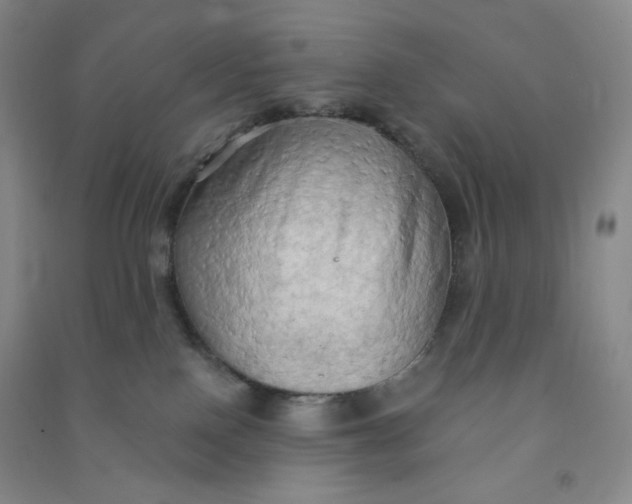 X0000090910090200708201752