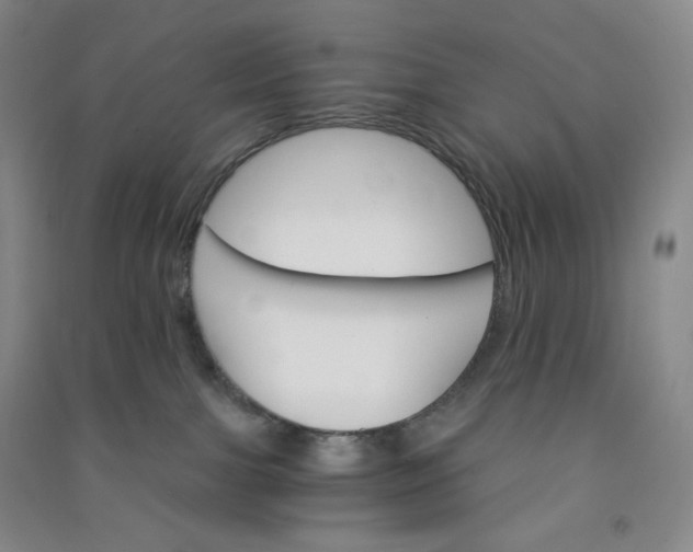 X0000090910091200708201752