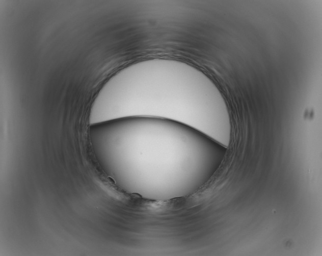 X0000090910092200708201752