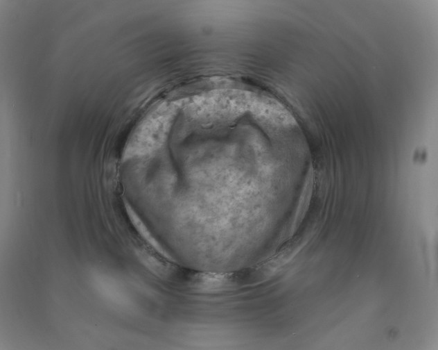 X0000090910093200708201752