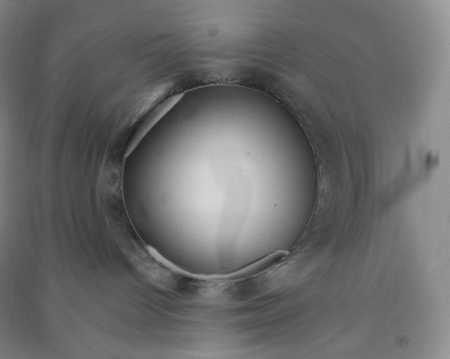 X0000090910096200708201752