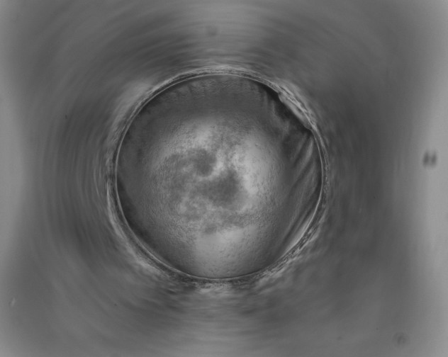 X0000090910097200708201751