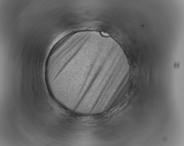 X0000090910100200708201751