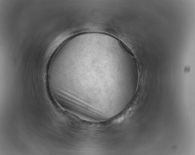 X0000090910103200708201751