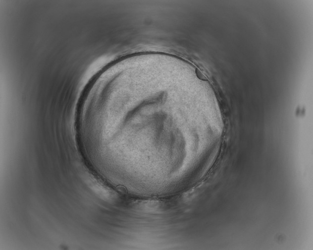 X0000090910104200708201751