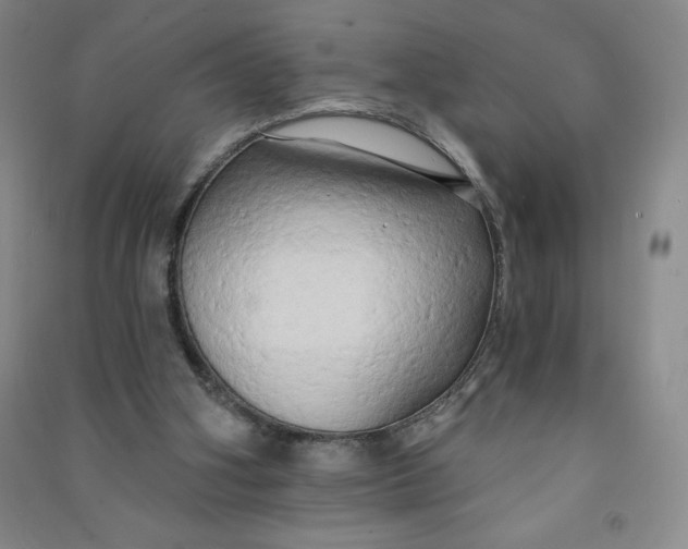 X0000090910106200708201751