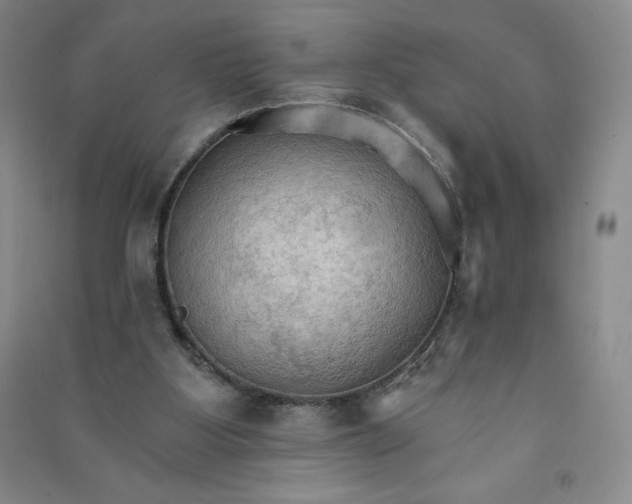 X0000090910107200708201751