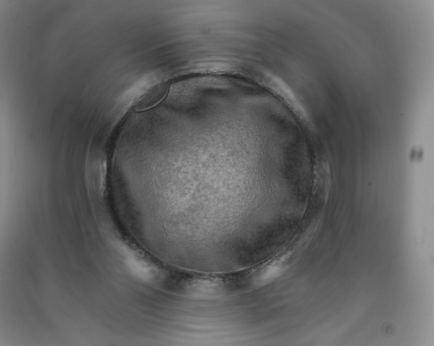 X0000090910110200708201751