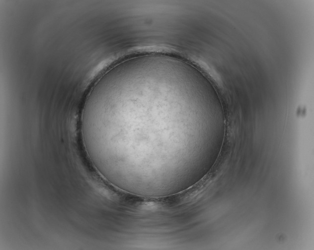 X0000090910111200708201751