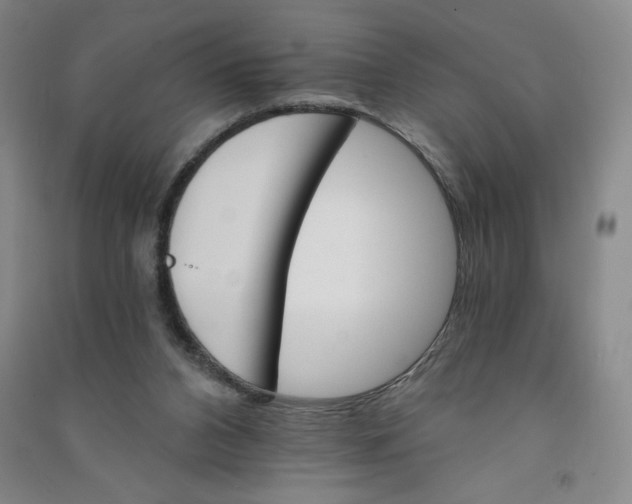 X0000090910112200708201751