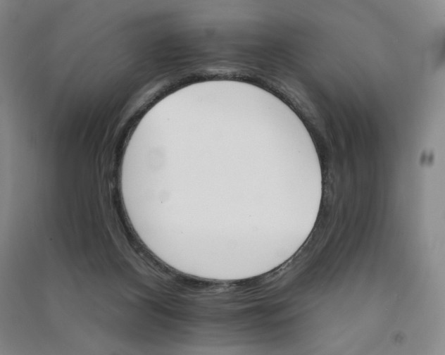 X0000090910116200708201751