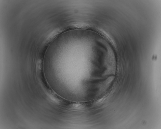 X0000090910117200708201751