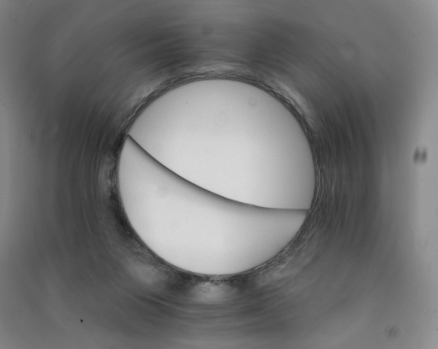 X0000090910119200708201751