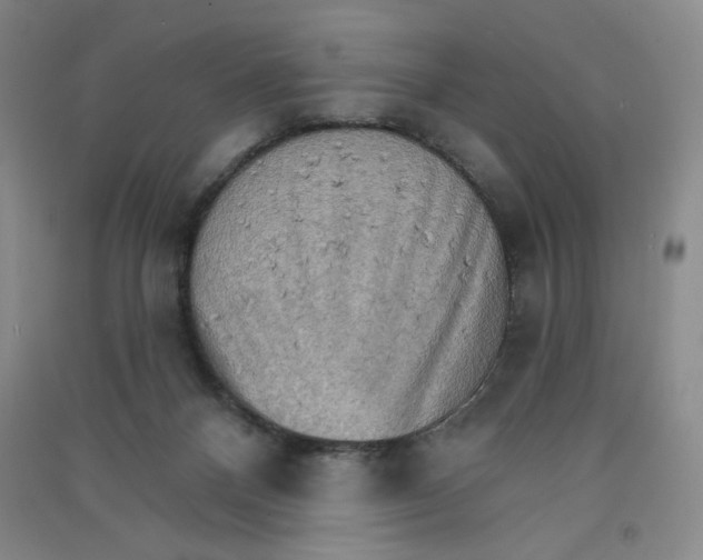 X0000090910120200708201751