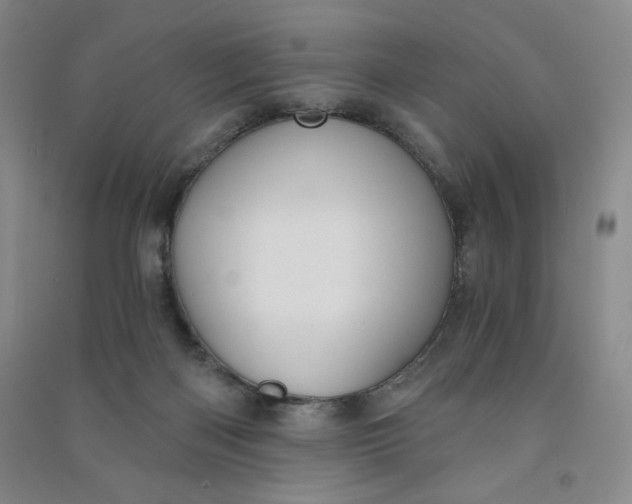 X0000090910122200708201751