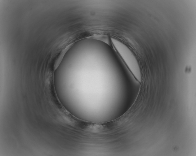 X0000090910125200708201751