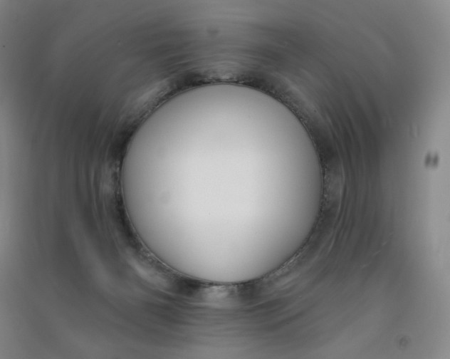 X0000090910126200708201751