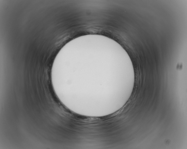 X0000090910128200708201751